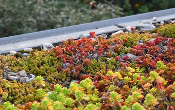 the cost of Duddington green roof installation