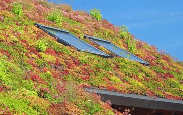 Duddington living roof systems