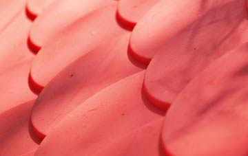 Duddington plastic roof costs